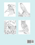 Colorful Bird Coloring Book
