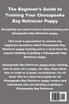 Chesapeake Bay Retriever Training
