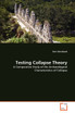 Testing Collapse Theory