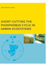 Short-cutting the Phosphorus Cycle in Urban Ecosystems