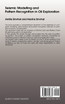 Seismic Modelling and Pattern Recognition in Oil Exploration