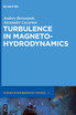 Turbulence in Magnetohydrodynamics