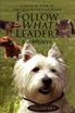 Follow What Leader?