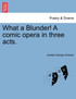 What a Blunder! A comic opera in three acts.