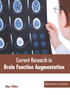 Current Research in Brain Function Augmentation