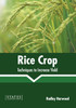 Rice Crop