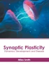 Synaptic Plasticity