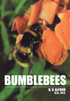 Bumble Bees