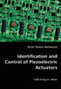 Identification and Control of Piezoelectric Actuators