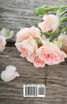 Romance Fiction Social Media Prompts For Authors