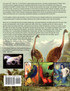 Karl Shuker's Alien Zoo