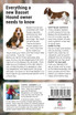 The Complete Guide to Basset Hounds