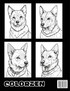 Geometric Canines