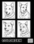 Polygon Pups