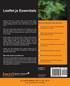 Leaflet.Js Essentials