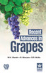 Recent Advances in Grapes