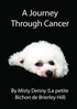 A Journey Through Cancer