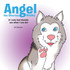 Angel the Siberian Husky