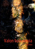 Valon halkeamia