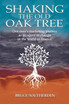 SHAKING THE OLD OAK TREE