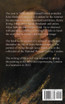 The Unfinished Portrait