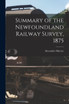Summary of the Newfoundland Railway Survey, 1875 [microform]
