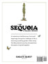 I Am Sequoia - A Pinecone's Adventure