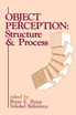 Object Perception