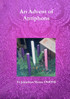An Advent of Antiphons