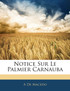 Notice Sur Le Palmier Carnauba