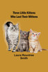 Three little kittens who lost their mittens