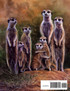 Colours of Wildlife