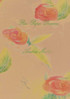 Rice Paper Dreams