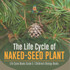 The Life Cycle of Naked-Seed Plant | Life Cycle Books Grade 5 | Children's Biology Books