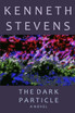 The Dark Particle