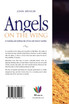 Angels on the Wing