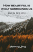 How beautiful is What Surrounds Us