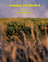 Sonnen im Herbst