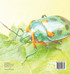 Who Likes Bugs? We Do! Animal Book Age 8 | Children's Animal Books