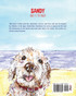 Sandy Goes To The Beach