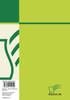 Pseudomorphe Synthese und isomorphe Substitution von mesoporösen MCM-41-Materialien