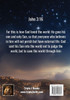 The Miracle of Love,  A Journey with Jesus