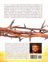 Christ in Creation