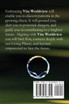 Vita Worldview