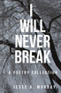 I Will Never Break