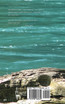 Heron Spirit