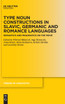 Type Noun Constructions in Slavic, Germanic and Romance Languages