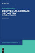 Derived Algebraic Geometry