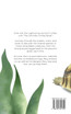 Turtles The Ultimate Turtles Book