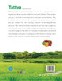 Tattva - Eat And Live